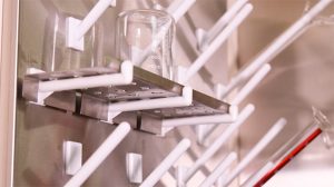 Stainless Steel Pegboard with Pegs & Accessories